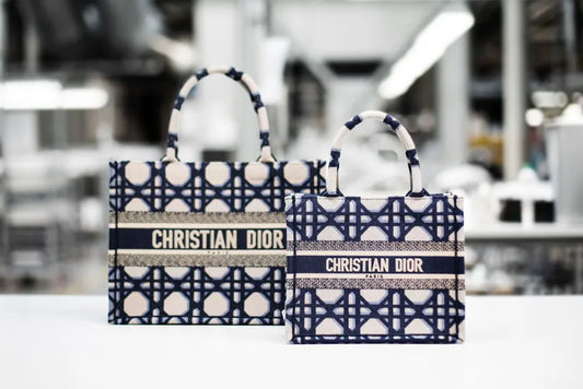BOOK TOTE Dior — El tote artístico de Dior